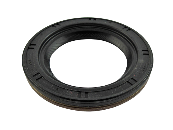 Изображение 20779