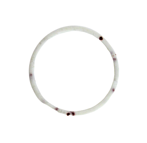 Изображение 23583