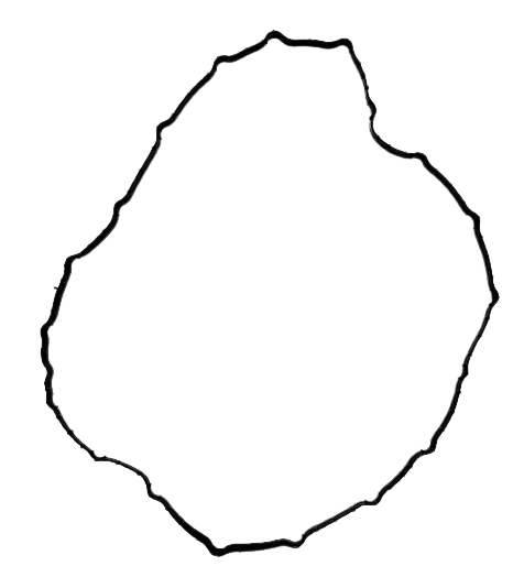 Изображение 24997