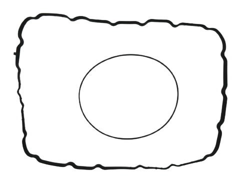 Изображение 25275