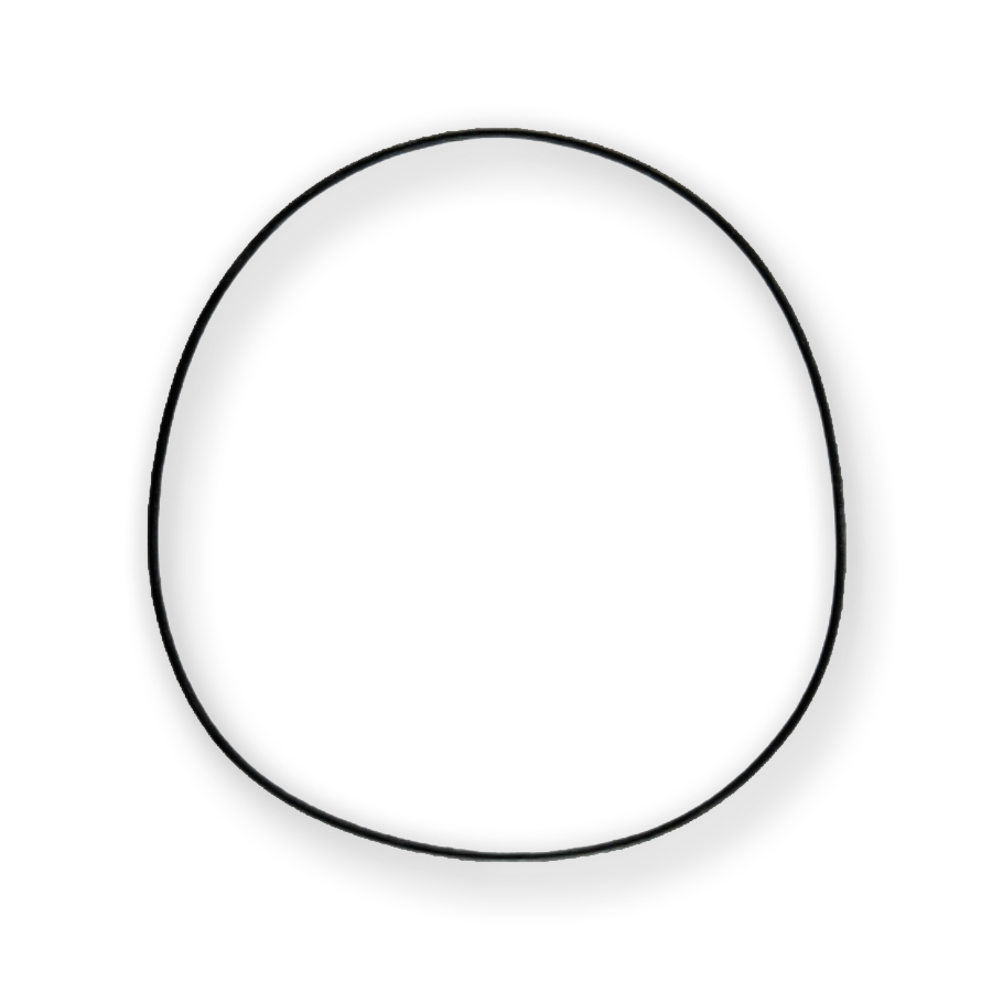 O-RING OF PUMP 226.5mm x 4mm 5HP19FL 01V 5HP19FLA